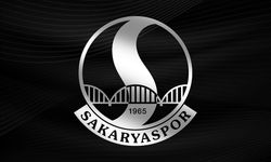 Sakaryaspor'un mali yapısını  Durmuşoğlu denetleyecek