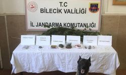 Bilecik'te uyuşturucu operasyonunda bir şüpheli yakalandı