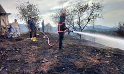 Sakarya'da çalılık alanda çıkan yangın söndürüldü