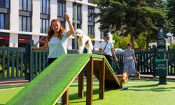 Türkiye'nin en kapsamlı köpek eğitim merkezi Ümraniye'de hizmet veriyor