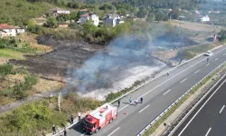 Düzce'de anız yangını! Fındık arazisi zarar gördü!