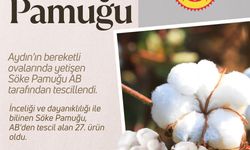Bakan Yumaklı: "AB’den coğrafi işaret tescili alan Söke Pamuğu’yla tescilli ürün sayımız 27’ye yükseldi"