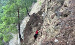 Dağda mahsur kalan keçileri jandarma kurtardı