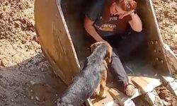 Dereye düşen köpek iş makinesinin kepçesi ile kurtarıldı