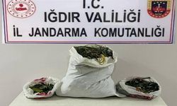 Iğdır’da farklı adreslere uyuşturucu operasyonu