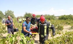 Kontrolden çıkan araç tarlaya uçtu: 1’i ağır 5 yaralı