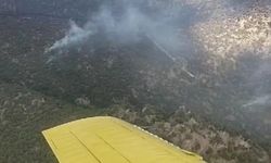 Manisa’daki orman yangınına müdahale devam ediyor