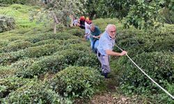 Rize’de ilkel teleferikten düşen kadın yaralandı