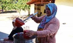 Salça makinesi domates üreticisinin yüzünü güldürdü