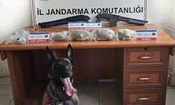 Samsun’da jandarma 3 kilo bonzai ele geçirdi