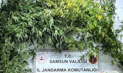 Samsun’da jandarma 8 kilo kubar esrar ele geçirdi