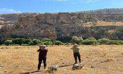 Şırnak’ta kaçak avcılığa karşı ekipler denetimlere devam ediyor