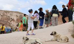 Sokak köpekleri turiste saldırdı