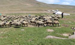 Tarımda yeni yaklaşımlar anlatıldı