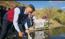 Tunceli’de 1 milyon 670 bin yavru sazan salındı