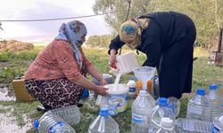 Yüksekova’da kışlık süt mesaisi