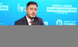 AECSD & AMEDA İstanbul Zirvesi