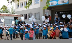 Dicle Elektrik, müşteri memnuniyeti için mobil ekipleriyle sahada çalışıyor