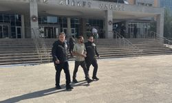 Edirne'de demir yoluna araç bırakarak yolcu treninin kaza yapmasına neden olan sürücü tutuklandı