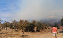 Bodrum’da ağaçlık alanda yangın çıktı