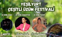 Çeşitli üzümlerin tanıtımı için festival düzenleniyor