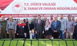 Düzce’de çiftçilere 250 bin marul fidesi dağıtıldı