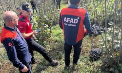 Fındık bahçesinde cesedi bulundu