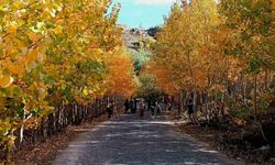 Nemrut Kalderası’nda sonbahar güzelliği