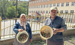 Okul yolunda ceviz ikramı