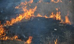 Kırklareli'nde hasat edilmemiş buğday tarlasında çıkan yangın söndürüldü