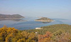 Beyşehir Gölündeki Hacıakif Adası doğa tutkunlarının ilgi odağı