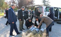 Erzincan’da goji berry yetiştiriciliği başladı