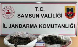 Jandarma 627 gram kubar esrar ele geçirdi