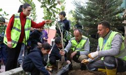 Öğrenciler, 5 bin narenciye fidanını toprakla buluşturdu