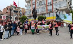 Sinop’ta toprağa saygı yürüyüşü