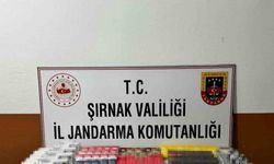 Şırnak’ta 11 şüpheliye işlem yapıldı