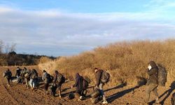 Tekirdağ’da 12 kaçak göçmen, 1 organizatör yakalandı