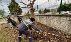 Serdivan Belediyesi’nden RAM Bahçesi’nde Çalışma