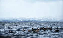 Sapanca Gölü'ndeki su seviyesi yağışların etkisiyle yükseldi