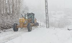 Beytüşşebap’ta şiddetli fırtına ve kar yağışı hayatı olumsuz etkiledi