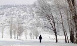 Erzincan ve çevre illerde kar yağışı bekleniyor