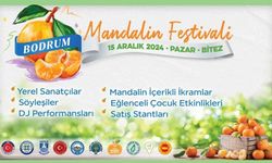 Geleneksel Bodrum Mandalin Festivali başlıyor