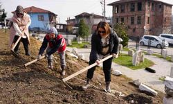 Park ve Bahçeler Müdürlüğü ekipleri bu sefer tarihi kentte kazı yaptı