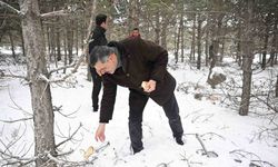 Vali Mustafa Çiftçi, yaban hayvanlarına yem bıraktı