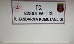 Bingöl’de haklarında arama kararı bulunan 2 kişi yakalandı