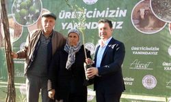 Muğla Büyükşehir Belediyesi 110 bin fidan dağıttı