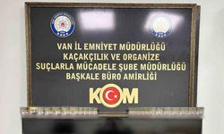 Van’da gümrük kaçakçılığı operasyonu