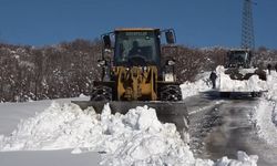 Varto’da 11 köy yolu ulaşıma kapandı