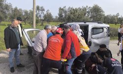 Balıkesir'de devrilen hafif ticari araçtaki 2 kişi yaralandı