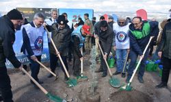Balıkesir'de geçen yıl çıkan yangında zarar gören bölgeye fidan dikildi